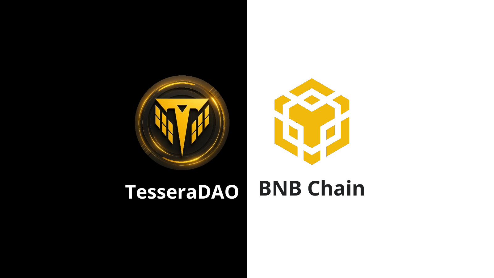 TesseraDAO: Someone Printed 99 Million Tokens and Walked Away With $2.5 Million