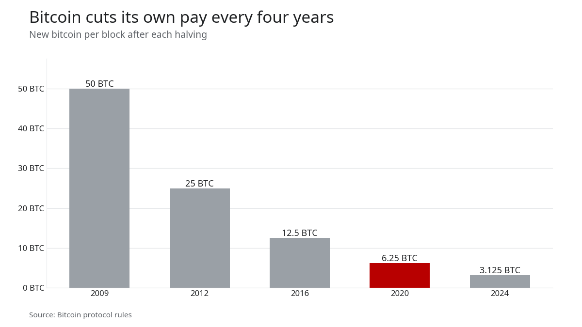 Bar chart of new bitcoin per block: 50 in 2009, 25 in 2012, 12.5 in 2016, 6.25 in 2020, 3.125 in 2024